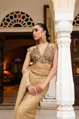 Golden Dot Saree SetDSC04796