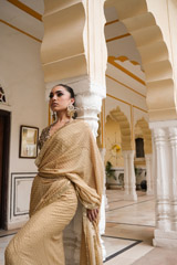 Golden Dot Saree SetDSC04801