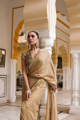Golden Dot Saree SetDSC04806