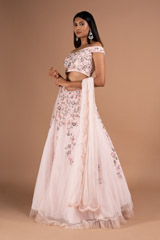 Pink Lehenga with 3D EmbroideryDSC08523