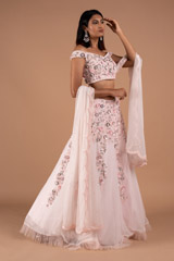 Pink Lehenga with 3D EmbroideryDSC08527