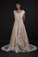 Beige Embroidered Gown3367_video