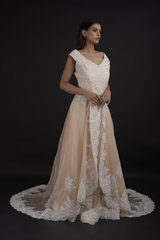 Beige Embroidered Gown_SUB8574