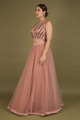 Salmon pink Top With Net SkirtDSC02392
