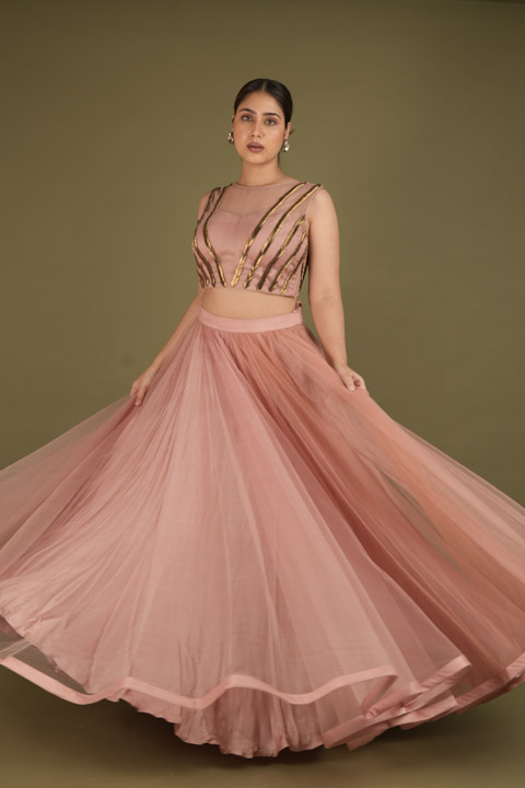 Salmon pink Top With Net Skirt