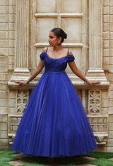 Royal Blue GownIMG_0709