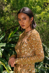 Rocky Star GownIMG_6599