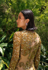 Rocky Star GownIMG_6609