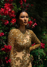 Rocky Star GownIMG_6619