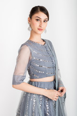 Grey Baadla Embellished Lehenga_DSC3304-Edit