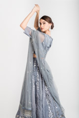Grey Baadla Embellished Lehenga_DSC3307-Edit