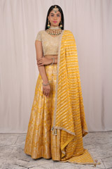 Mustard Banarasi LehengaIMG_5004