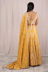 Mustard Banarasi LehengaIMG_5052
