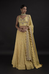 Yellow Chikankari Lehenga