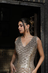 Golden Metallic GownDSC07505