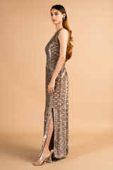 Golden Metallic GownDSC09845