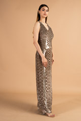 Golden Metallic GownDSC09846