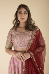 Pink Embroidered Lehenga Set_DTR1081