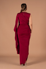 Red Saree GownDSC01181