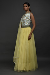 Yellow Embellished Lehenga_DSC5878
