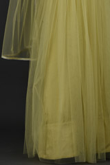 Yellow Embellished Lehenga_DSC5883