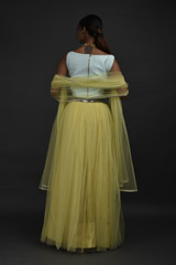 Yellow Embellished Lehenga_DSC5885