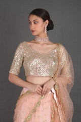 Pink Mirror Work LehengaIMG_1135