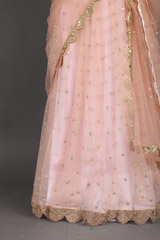 Pink Mirror Work LehengaIMG_1137