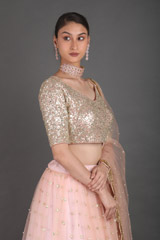 Pink Mirror Work LehengaIMG_1141