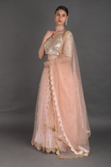 Pink Mirror Work LehengaIMG_1143