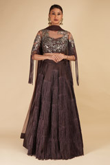 Brown Embellished Lehenga