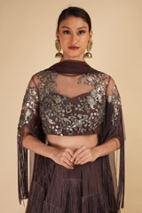 Brown Embellished LehengaDSC00240
