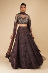Brown Embellished LehengaDSC00243