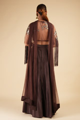 Brown Embellished LehengaDSC00246