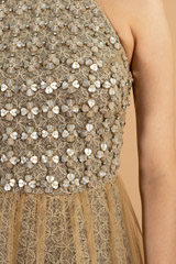 Beige Flared GownDSC01454