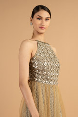 Beige Flared GownDSC01457