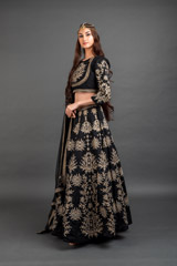 Black Zari Embroidered Lehenga_DSC4255-Edit