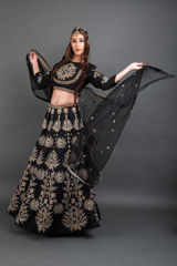 Black Zari Embroidered Lehenga_DSC4267-Edit