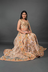 Peach Thread Work Lehenga_DSC3512-Edit