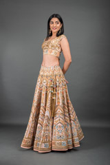 Peach Thread Work Lehenga_DSC3531-Edit