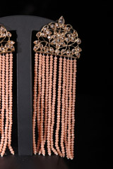 Stone And Beads EarringsIMG_9989