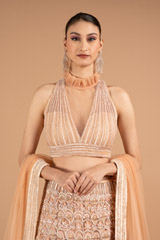 Hand Embroidered LehengaDSC01833