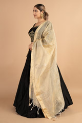 Black Gota Embroidered LehengaDSC01159