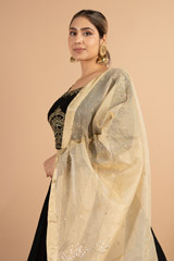 Black Gota Embroidered LehengaDSC01160