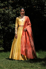 Gota Embroidered LehengaIMG_7711