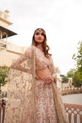 Pink Embroidered LehengaDSC05091