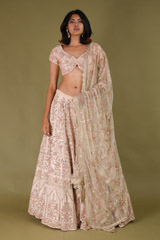 Pink Embroidered LehengaDSC07664