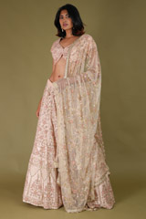 Pink Embroidered LehengaDSC07668