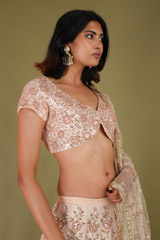 Pink Embroidered LehengaDSC07670