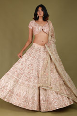 Pink Embroidered LehengaDSC07671